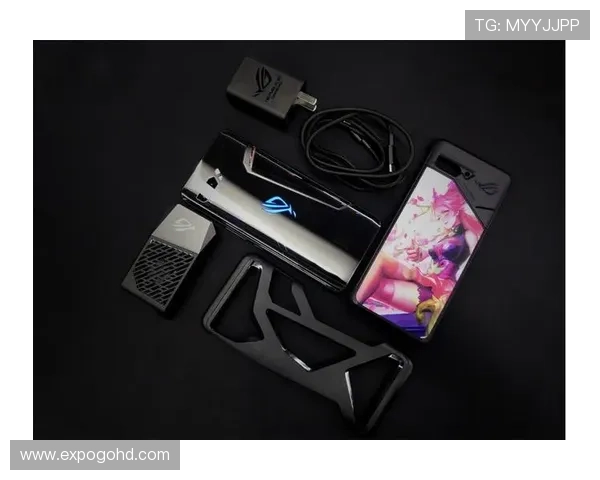 尊龙备用平台最新注册流程详解，确保玩家快速顺利开启游戏体验