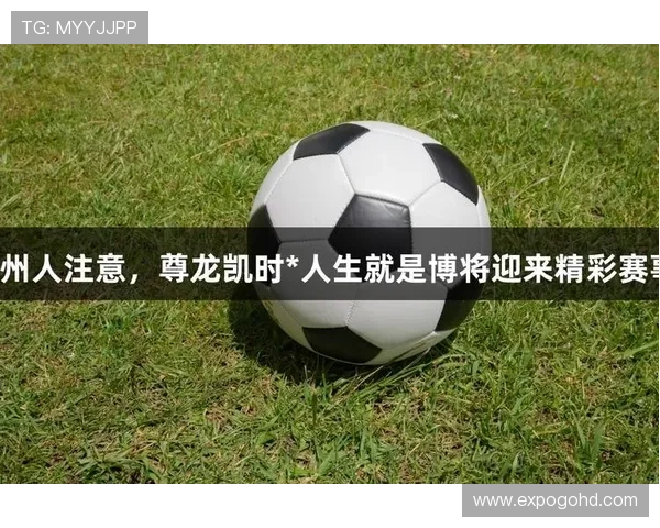 尊龙现金人生就是博：提升游戏体验的关键策略与玩家必知的操作技巧